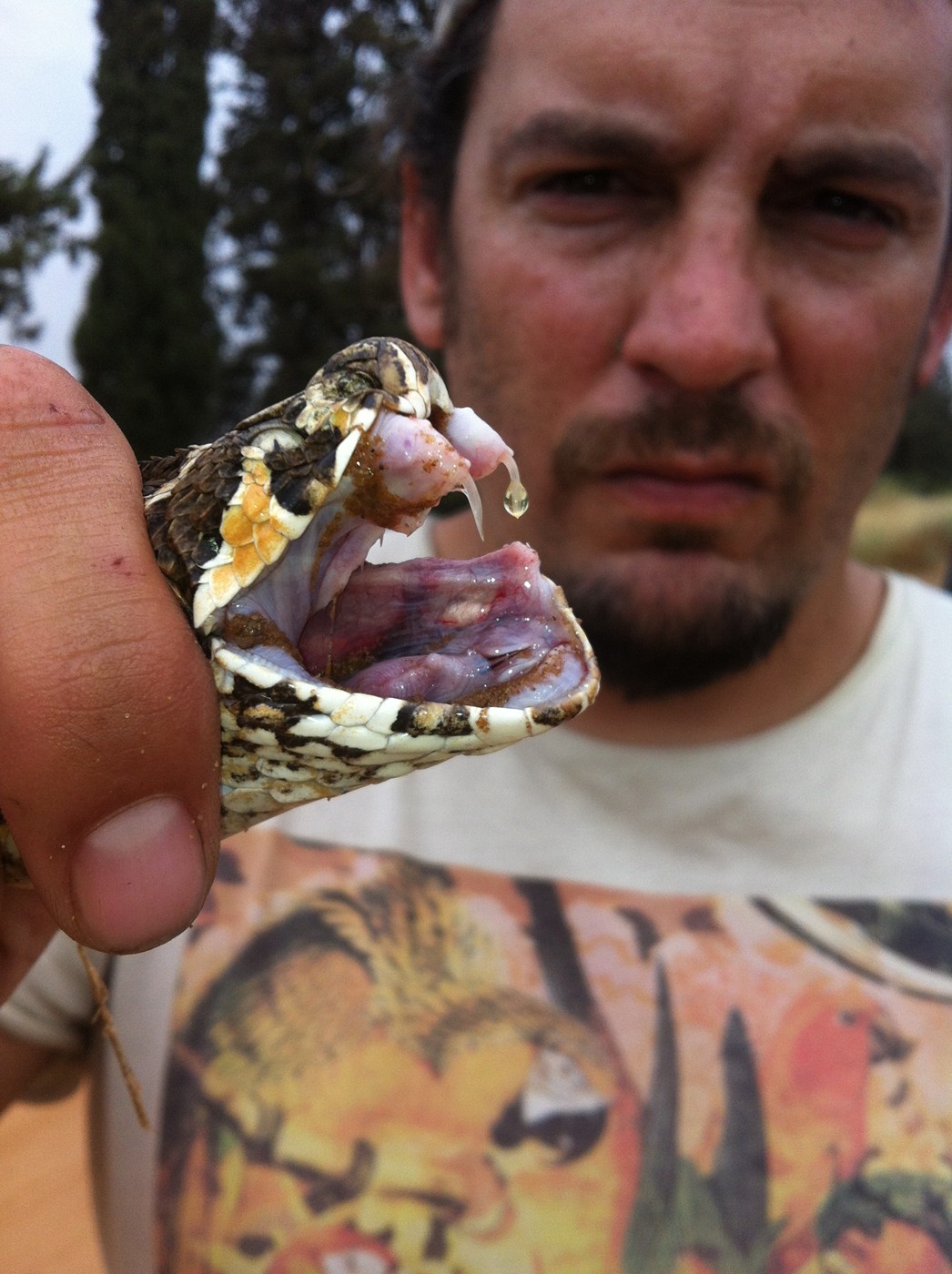 איתי הלוכד מחזיק נחש צפע מצוי