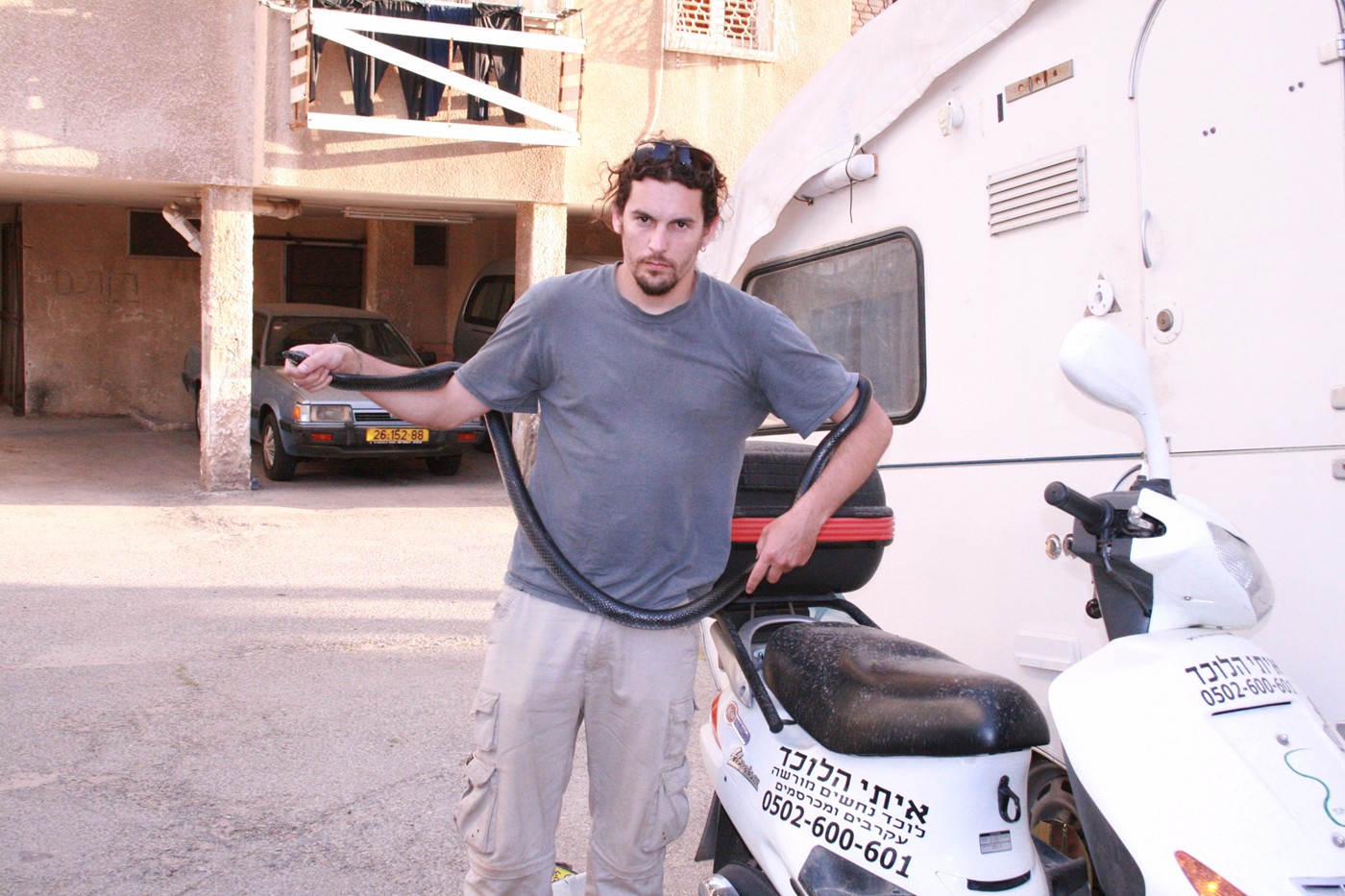 איתי מחזיק זעמן שחור בוגר