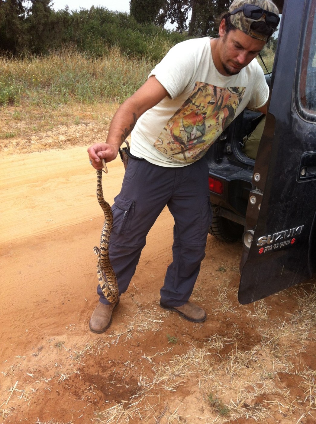 איתי הלוכד - מחזיק נחש צםע מצוי לצורך שחרור ליד הרכב בשדה